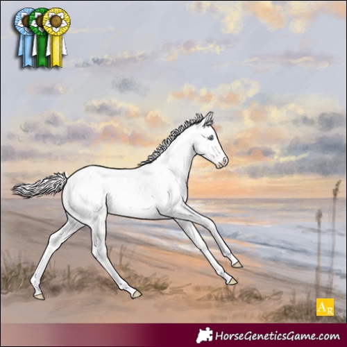 Horse Color:Silver Perlino Sabino Appaloosa