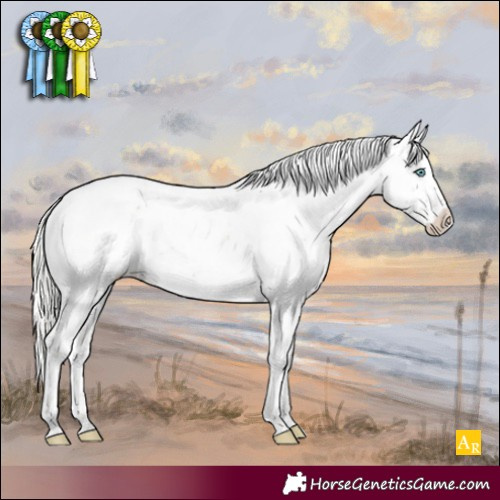 Horse Color:Silver Perlino Sabino Near Leopard 