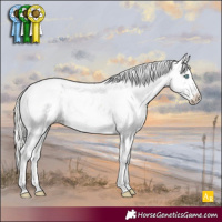 Horse Color:Silver Perlino Sabino Near Leopard 