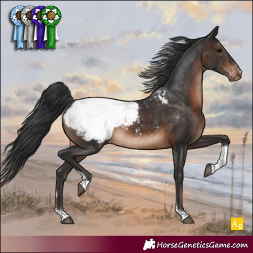 Horse Color:Brown Tobiano Snowcap Rabicano 