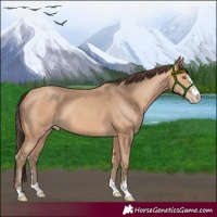Horse Color:Amber Champagne 