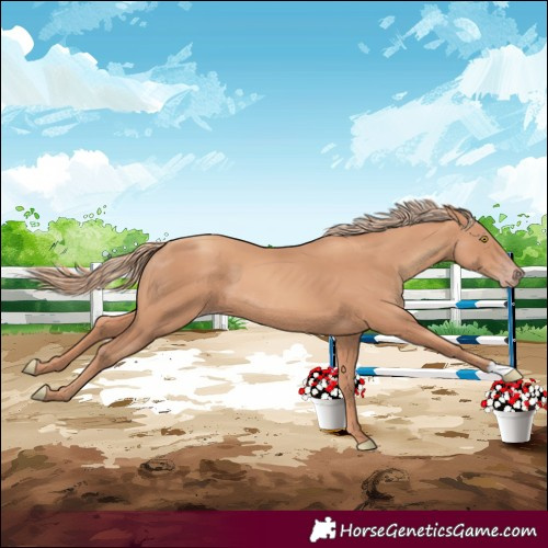 Horse Color:Gold Champagne 