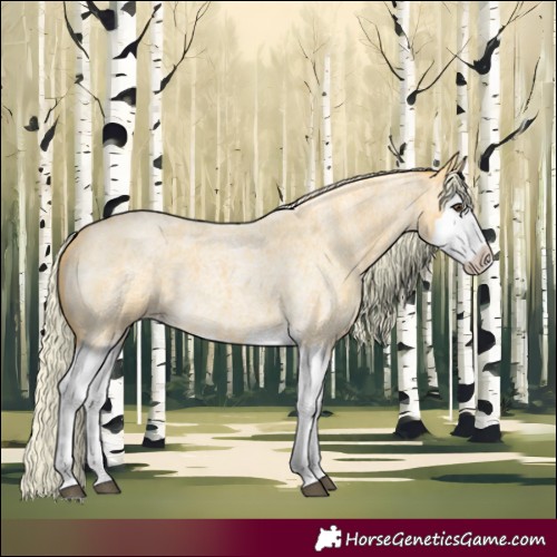 Horse Color:Palomino Roan Splash 