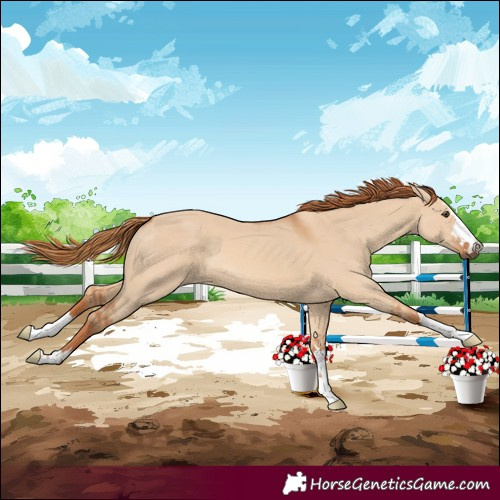 Horse Color:Red Dun 