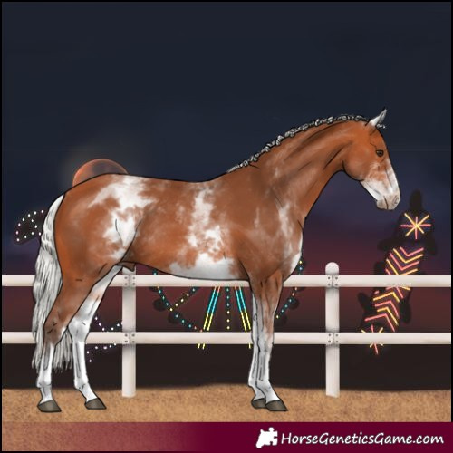 Horse Color:White Spotted Silver Bay Rabicano