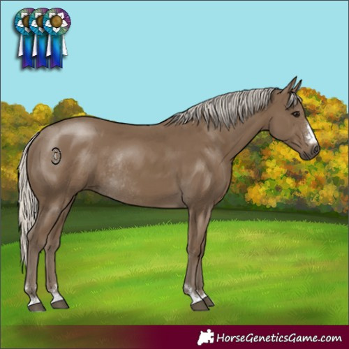 Horse Color:Silver Smoky Black Rabicano 