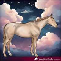 Horse Color:Gold Champagne Pearl Rabicano and Gold Champagne Pearl Rabicano