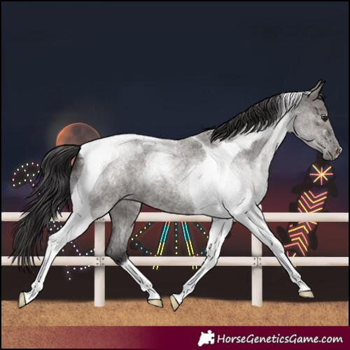 Horse Color:Smoky Grullo Roan Tobiano 