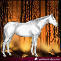 Horse Color:White Spotted Black Tobiano 