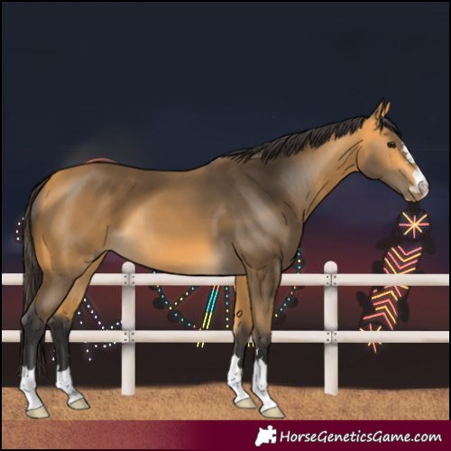 Horse Color:Buckskin