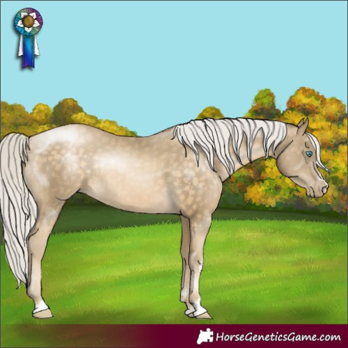 Horse Color:Silver Buckskin Pearl Rabicano 
