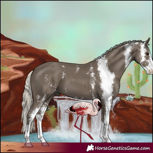 Horse Color:Silver Smoky Black Sabino