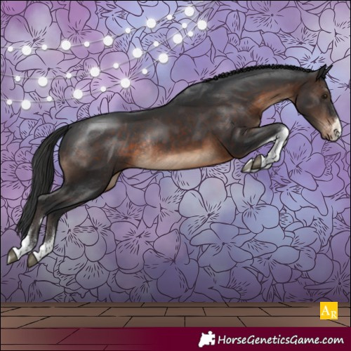 Horse Color:Brown Tobiano Appaloosa Rabicano 