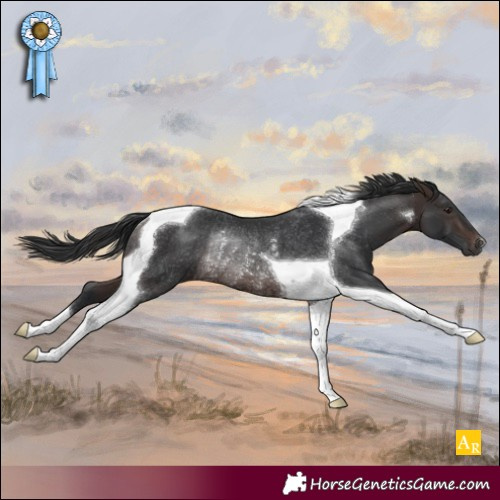 Horse Color:Brown Tobiano Rabicano