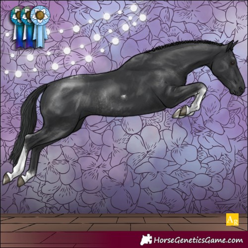 Horse Color:Black Tobiano Rabicano 