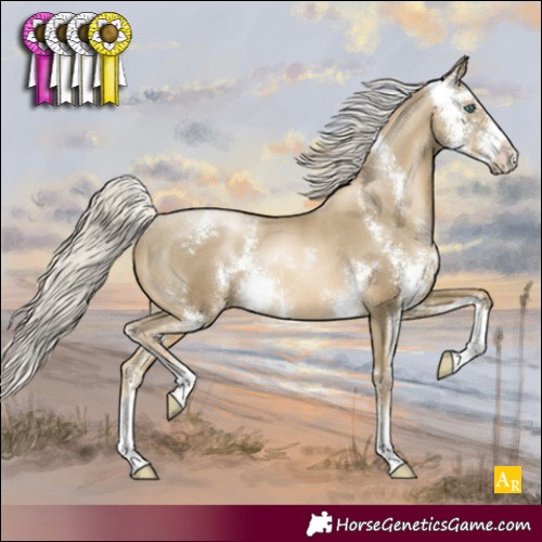 Horse Color:Silver Smoky Black Pearl Sabino Rabicano 