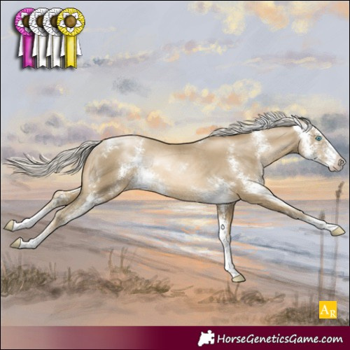 Horse Color:Silver Smoky Black Pearl Sabino Rabicano