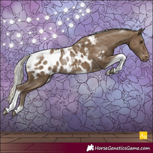 Horse Color:Silver Smoky Black Tobiano Appaloosa Rabicano 