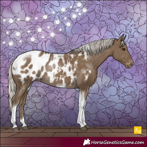 Horse Color:Silver Smoky Black Tobiano Appaloosa Rabicano 