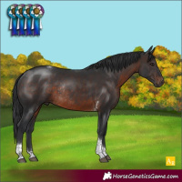 Horse Color:Brown Tobiano Rabicano 