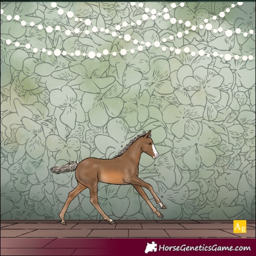 Horse Color:Chocolate Palomino Frame
