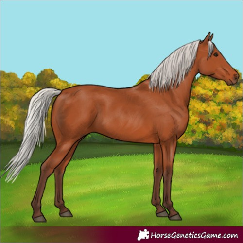 Horse Color:Silver Bay