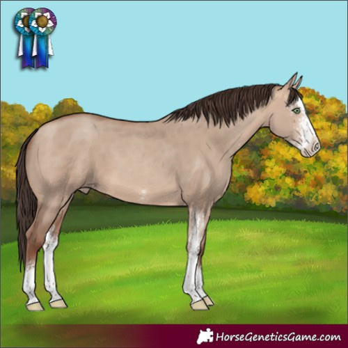 Horse Color:Sable Champagne Dun Sabino