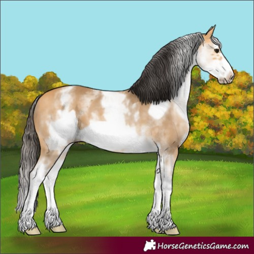 Horse Color:White Spotted Buckskin Splash Frame