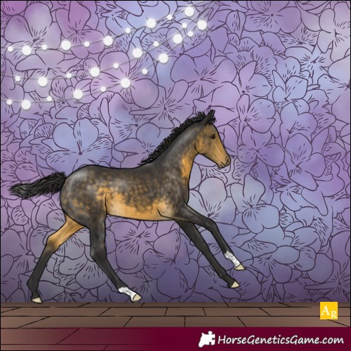 Horse Color:Buckskin 