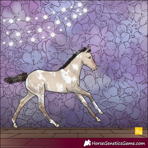 Horse Color:White Spotted Sable Champagne Dun 