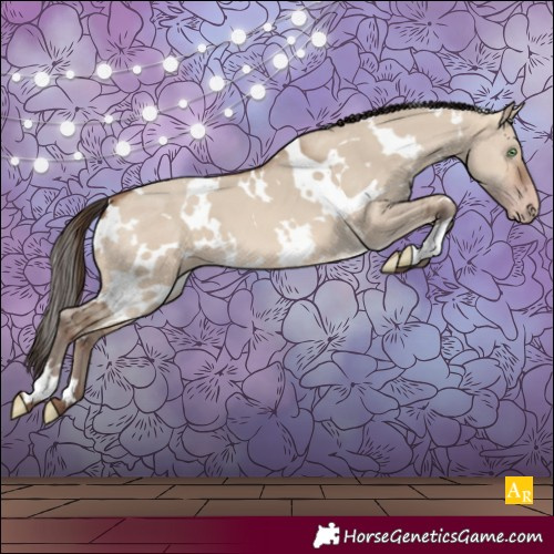 Horse Color:White Spotted Sable Champagne Dun 