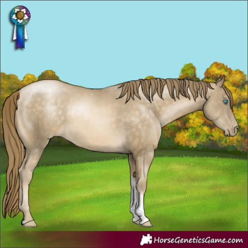 Horse Color:Buckskin Pearl Tobiano Rabicano 