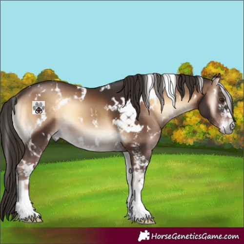 Horse Color:White Spotted Liver Red Onyx Sabino