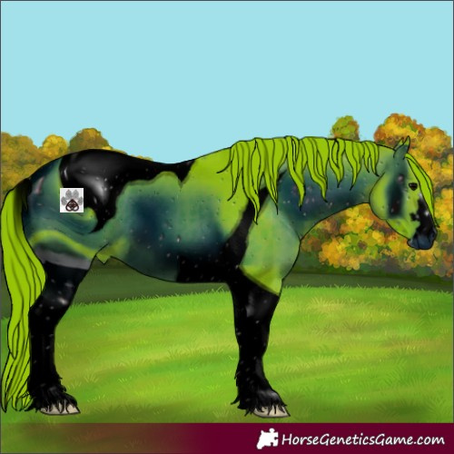 Horse Color:ERROR: UNKNOWN ANOMALY