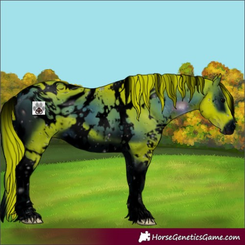 Horse Color:ERROR: UNKNOWN ANOMALY