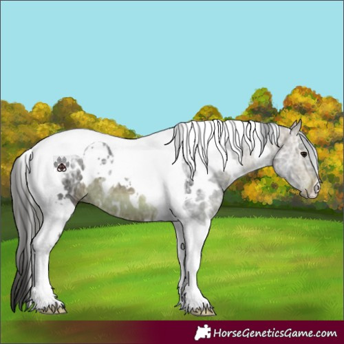 Horse Color:White Spotted Brown Ice Tobiano 