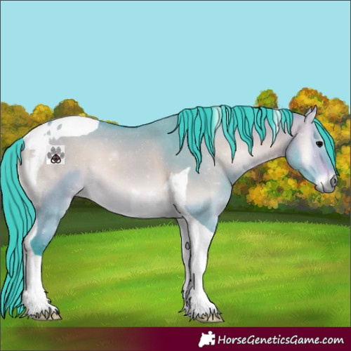 Horse Color:Watercolor Bay Onyx Tobiano