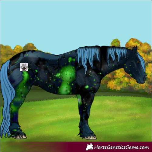 Horse Color:ERROR: UNKNOWN ANOMALY