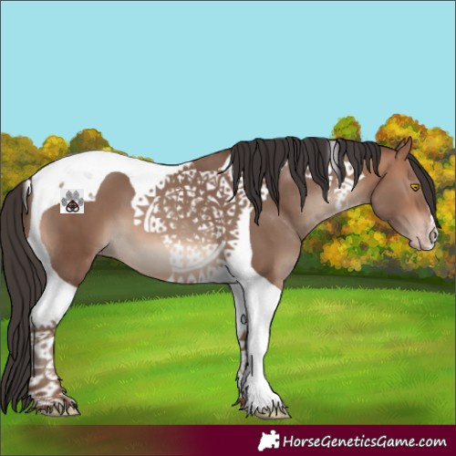 Horse Color:Sable Champagne Tobiano 
