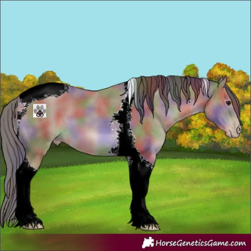 Horse Color:Nacre Classic Champagne Tobiano