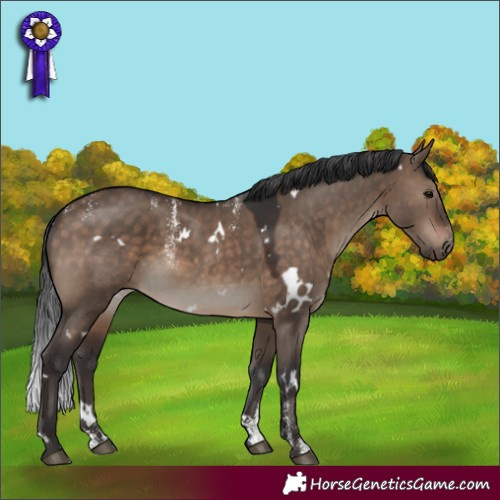 Horse Color:Powder White White Spotted Brown Dun