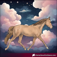 Horse Color:Gold Champagne 