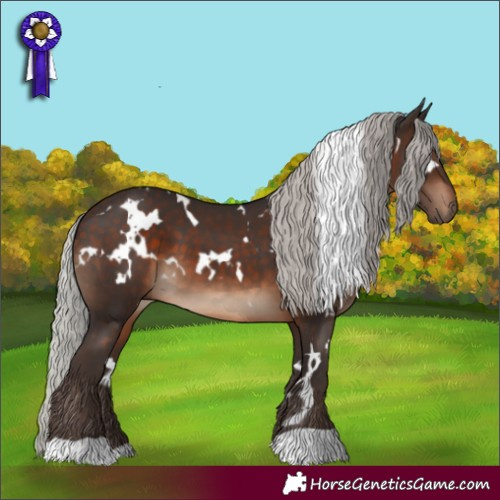 Horse Color:White Spotted Silver Brown 
