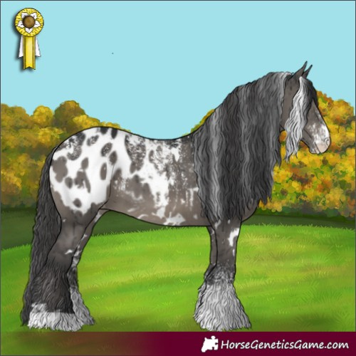 Horse Color:Powder White White Spotted Grullo Appaloosa Brindle 