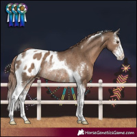 Horse Color:Liver Red Dun Sabino Tobiano Blanket Rabicano 