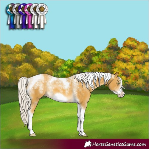 Horse Color:Powder White Silver Sable Cream Champagne Tobiano Frame 