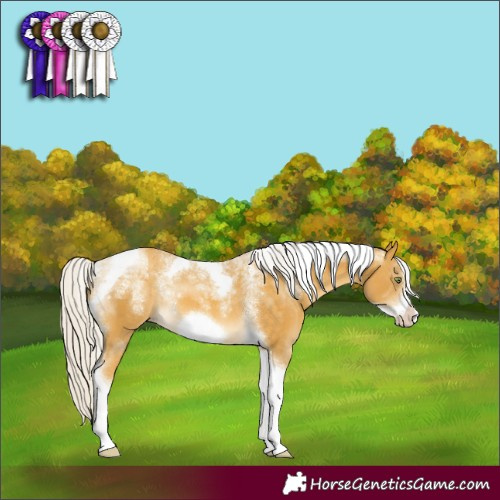 Horse Color:Powder White Silver Sable Cream Champagne Tobiano Frame 