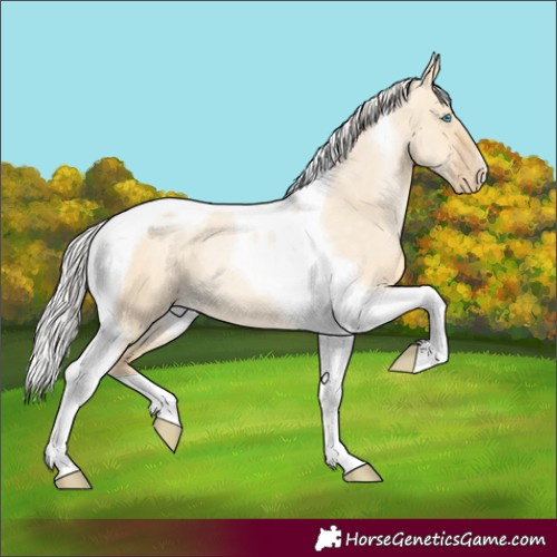 Horse Color:Silver Buckskin Pearl Dun Tobiano