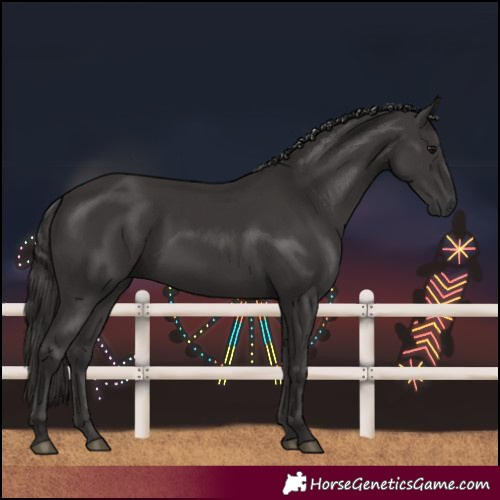 Horse Color:Smoky Black