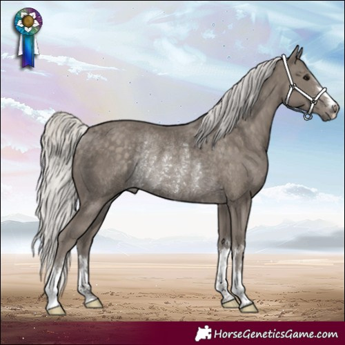 Horse Color:Silver Smoky Black Rabicano